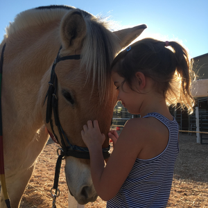 Team Page: Team Sindre